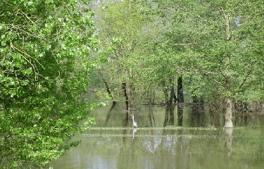 DENEE-maine-et-loire