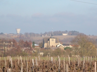 FAVARAYE - MACHELLE-maine-et-loire