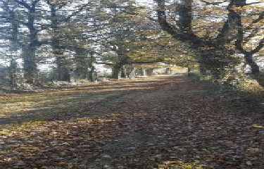 TORFOU-maine-et-loire