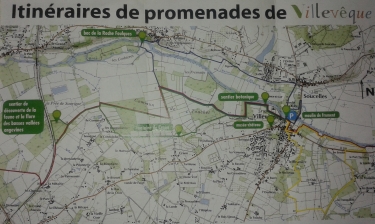 VILLEVEQUE - CHEMIN DE LOIR-maine-et-loire