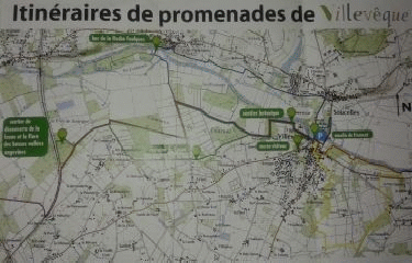 VILLEVEQUE - CHEMIN DE LOIR-maine-et-loire