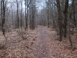 LOUERRE-maine-et-loire