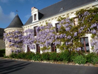 LE THOUREIL - CIRCUIT DECOUVERTE-maine-et-loire