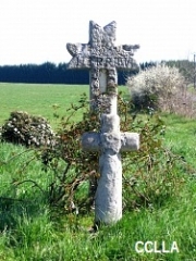 NOTRE DAME D ALLENCON - DE VIGNES EN FORETS-maine-et-loire
