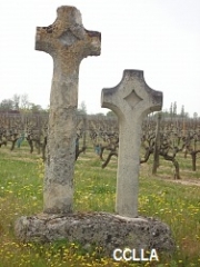 NOTRE DAME D ALLENCON - DE VIGNES EN FORETS-maine-et-loire