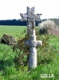 NOTRE DAME D ALLENCON - DE VIGNES EN FORETS-maine-et-loire