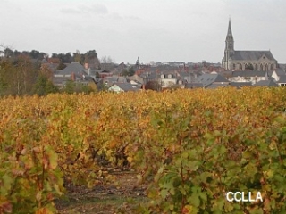 SAINT-LAMBERT-DU-LATTAY - COTEAU DES MARTYRS-maine-et-loire