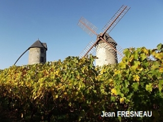 CHALONNES-SUR-LOIRE - VALLEE DU LAYON-maine-et-loire