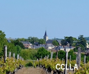 FAVERAYE-MACHELLES  - CIRCUIT DE MACHELLES-maine-et-loire