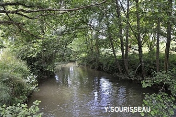 DENEE - LES JUBEAUX-maine-et-loire