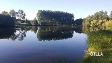 LOIRE - BOIRE DE LA CIRETTERIE-maine-et-loire