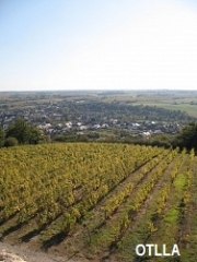 SAINT AUBIN DE LUIGNE - CHAUME-maine-et-loire