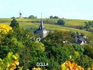 THOUARCE - CIRCUIT DES MOULINS-maine-et-loire