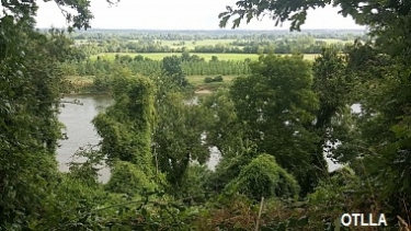 CHALONNES-SUR-LOIRE - COTEAU SAINT-VINCENT-maine-et-loire