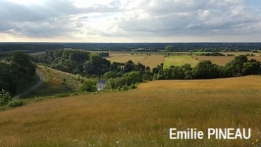 CHALONNES-SUR-LOIRE - DE LOUET EN CORNICHE-maine-et-loire
