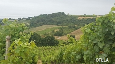 SAINT-AUBIN-DE-LUIGNE - LE GRAND BEAUVAIS-maine-et-loire