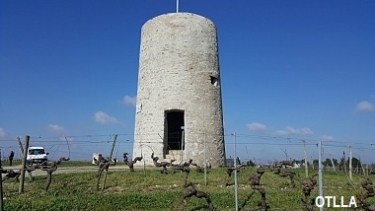 SAINT-AUBIN-DE-LUIGNE - LE GRAND BEAUVAIS-maine-et-loire