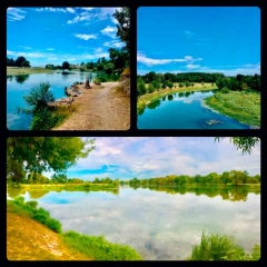 ANGERS ECOUFLANT BRIOLLAY CONFLUENT SARTHE HALAGE DE MAYENNE-maine-et-loire