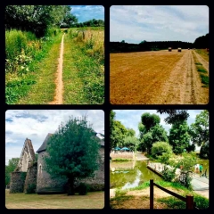 ANGERS ECOUFLANT BRIOLLAY CONFLUENT SARTHE HALAGE DE MAYENNE-maine-et-loire