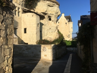 PETITE BOUCLE SUR L ILE DE SOUZAY-maine-et-loire