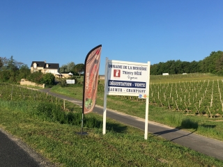 GR VINS DE LA BESSIERE - R1-maine-et-loire