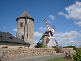CHALONNES-SUR-LOIRE-maine-et-loire