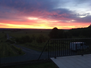 GR VINS  AUTOUR DE CHAMPIGNY-maine-et-loire