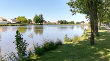 SAINT-LEGER-SOUS-CHOLET - RUISSEAU DE L EPINETTE-maine-et-loire