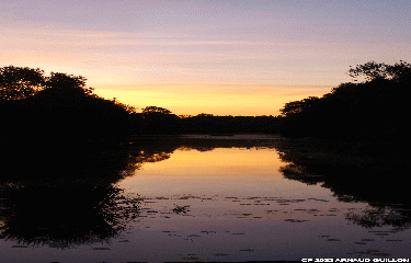 LA MONTREUILLAISE - DE RASIBUS A NERRA-maine-et-loire