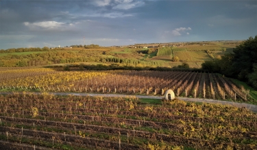 LES COTEAUX DE ST AUBIN DE LUIGNE ET D ARDENAY-maine-et-loire