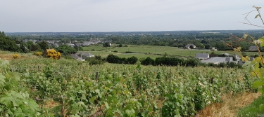 LA BOURGONNIERE-maine-et-loire