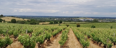 LA BOURGONNIERE-maine-et-loire
