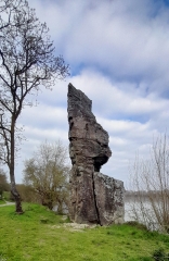 CAMPAGNE ET VIGNOBLES DE SAVENNIERES-maine-et-loire