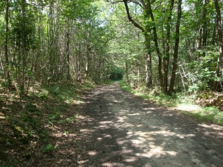 CUNAULT ET CHENEHUTTE-maine-et-loire