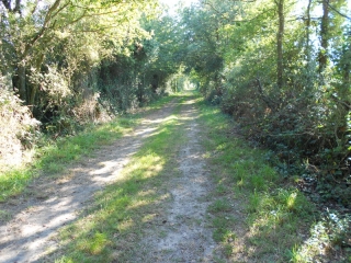 SUR LES TERRES D ANGRIE-maine-et-loire