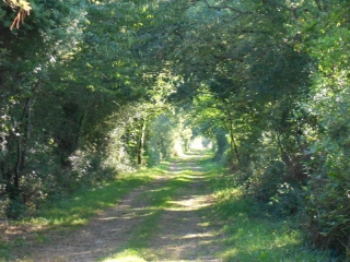 SUR LES TERRES D ANGRIE-maine-et-loire