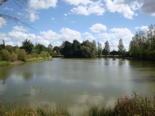 ST-MARTIN-DU-FOUILLOUX-maine-et-loire