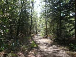 ST-MARTIN-DU-FOUILLOUX-maine-et-loire