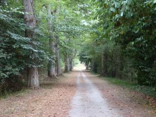 PARCOURS DE FENEU-maine-et-loire
