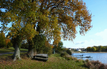 POUANCE-maine-et-loire