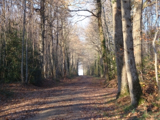 MONTILLIERS - CERNUSSON-maine-et-loire