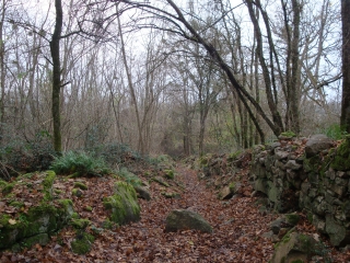 BLAISON GOHIER-maine-et-loire