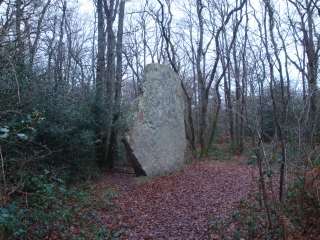 ST-REMY-LA-VARENNE-maine-et-loire