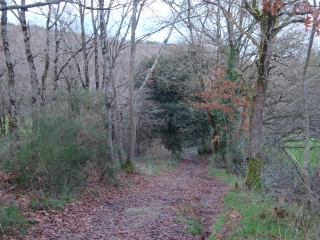 CHALONNES-SUR-LOIRE-maine-et-loire