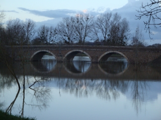 CHALONNES-SUR-LOIRE-maine-et-loire