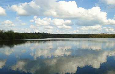 ETANG DES NOUES-maine-et-loire