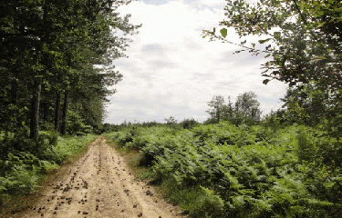 ETANG DES NOUES-maine-et-loire