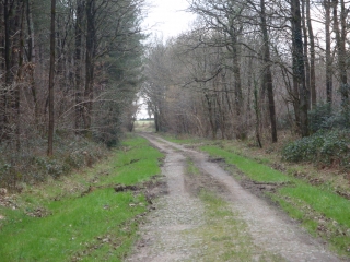 SAINT-LEZIN-maine-et-loire