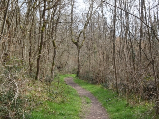 BORDS DE LOIRE-maine-et-loire