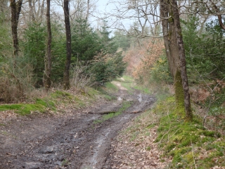LA POSSONIERE-maine-et-loire